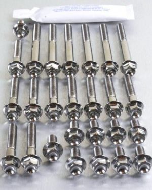 Pro-Bolt Titanium Kawasaki ZX-10R 11-14 Engine Bolt Kit