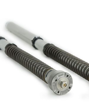 Ohlins NIX 30mm FGK Fork Cartridge Kits – BMW, Honda, Kawasaki, Suzuki, Yamaha, Ducati, Triumph