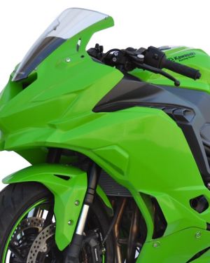 Hotbodies Racing Race Bodywork – Kawasaki ZX-4RR (2023) – GREEN