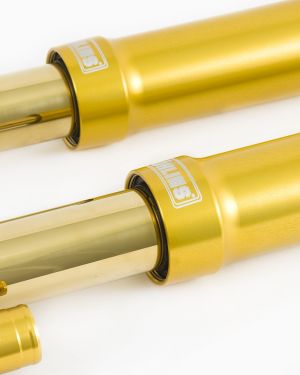 Ohlins FGR 301 MotoGP Superbike Forks FGR301