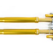 Ohlins FGR 301 MotoGP Superbike Forks FGR301