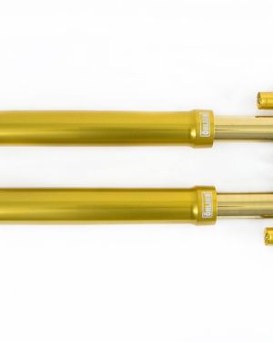 Ohlins FGR300 MotoGP Superbike Forks FGR 300