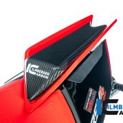 Ilmberger Carbon Fiber Passenger Seat Cover Aprilia RSV4 / Tuono (2021-2022) – Gloss