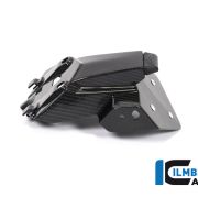 Ilmberger Carbon Licence Plate Mount  – 2020 BMW S1000RR (2019 Euro)