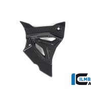 Ilmberger Carbon Sprocket Cover  – 2020 BMW S1000RR (2019 Euro)