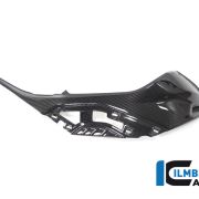 Ilmberger Carbon Airbox / Tank Side Panels (Without Inserts)  – 2020 BMW S1000RR (2019 Euro)