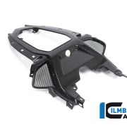 Ilmberger Carbon Tailsection Center Panel  – 2020 BMW S1000RR (2019 Euro)