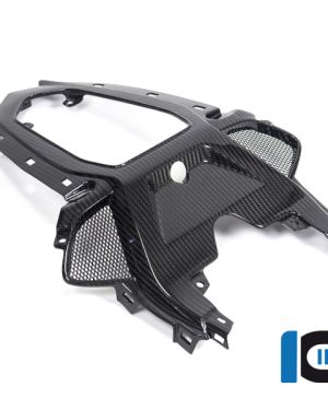 Ilmberger Carbon Tailsection Center Panel  – 2020 BMW S1000RR (2019 Euro)