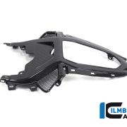 Ilmberger Carbon Tailsection Center Panel  – 2020 BMW S1000RR (2019 Euro)