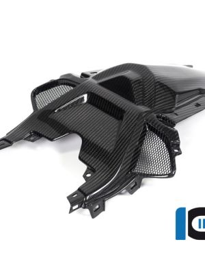 Ilmberger Carbon Solo Seat Conversion Panel  – 2020 BMW S1000RR (2019 Euro)