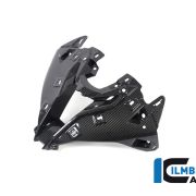 Ilmberger Carbon Upper Fairing Center Panel  – 2020 BMW S1000RR (2019 Euro)