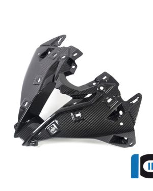 Ilmberger Carbon Upper Fairing Center Panel  – 2020 BMW S1000RR (2019 Euro)