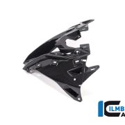 Ilmberger Carbon Upper Fairing Center Panel  – 2020 BMW S1000RR (2019 Euro)