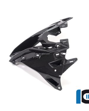 Ilmberger Carbon Upper Fairing Center Panel  – 2020 BMW S1000RR (2019 Euro)