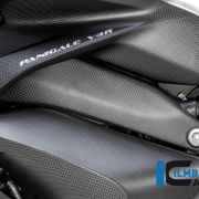 Ilmberger Carbon Frame Cover Set (Matte) – Ducati Panigale V4R