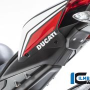 Ilmberger Carbon Undertail Panel (Matte) – Ducati Panigale V4 / V4S