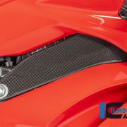 Ilmberger Carbon Frame Cover Set (Gloss) – Ducati Panigale V4 / V4S