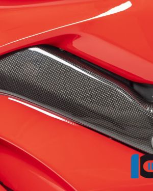 Ilmberger Carbon Frame Cover Set (Gloss) – Ducati Panigale V4 / V4S