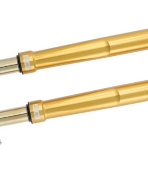 Ohlins FGRT 232 Road & Track Front Forks – BMW S1000RR (2019-2021) / M1000RR (2021-2023)