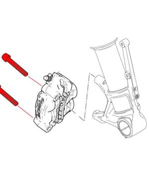 CNC Racing Titanium Radial Caliper Bolt Kit – Ducati Panigale V4 and Streetfighter V4