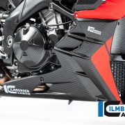 Ilmberger Carbon Fiber One Piece Bellypan Aprilia Tuono V4 (2021) – Matte