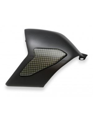 CNC Racing Carbon Fiber/Kevlar Swingarm Cover – Ducati Panigale V4