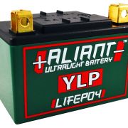 Aliant YLP05B 5.0 AH ALICHEM Lifepo4 Battery