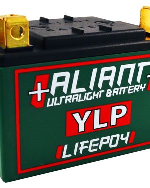 Aliant YLP05B 5.0 AH ALICHEM Lifepo4 Battery