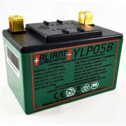 Aliant YLP05B 5.0 AH ALICHEM Lifepo4 Battery