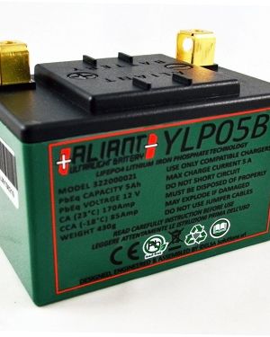 Aliant YLP05B 5.0 AH ALICHEM Lifepo4 Battery